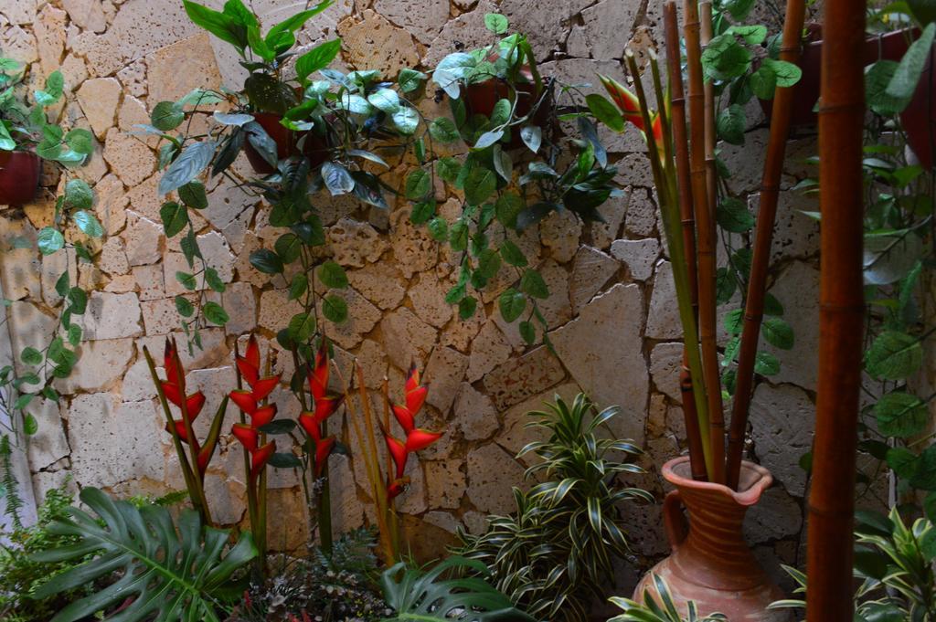 Hotel Torre Del Reloj Cartagena Bagian luar foto